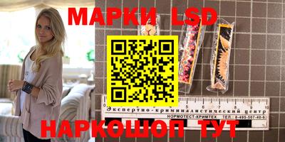 индика Заводоуковск