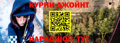 индика Заводоуковск