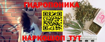 гашик Заволжье