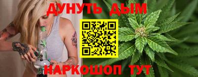 индика Заводоуковск