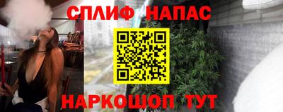 индика Заводоуковск
