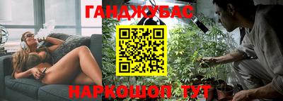 индика Заводоуковск