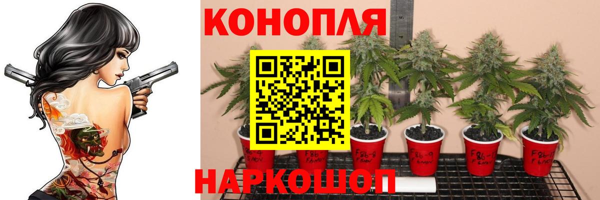 ТГК Великие Луки